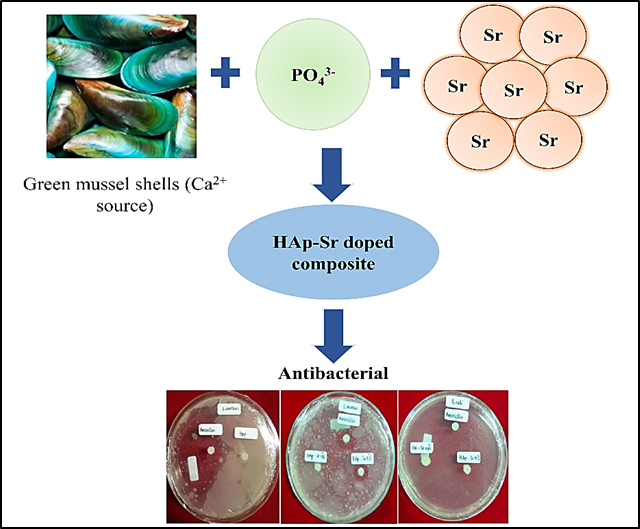 Graphical Abstract